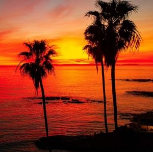 Meet your Posher, Damion